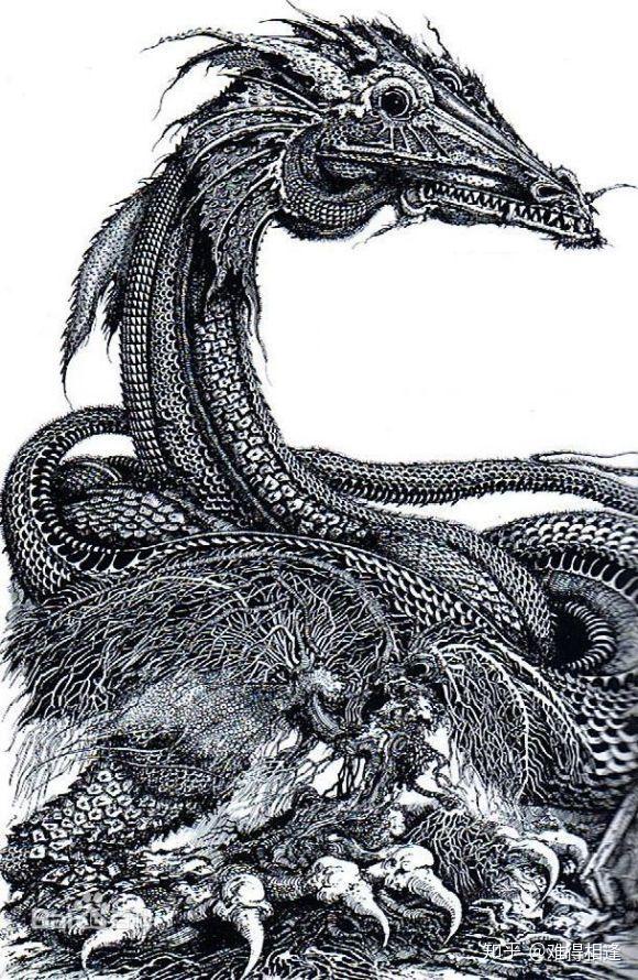 中土世界唯一一条不喷火的龙冷龙史卡沙