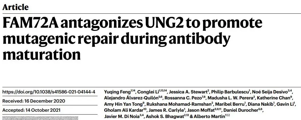 解開二十年免疫謎題自然揭示促使dna錯誤修復的幕後黑手