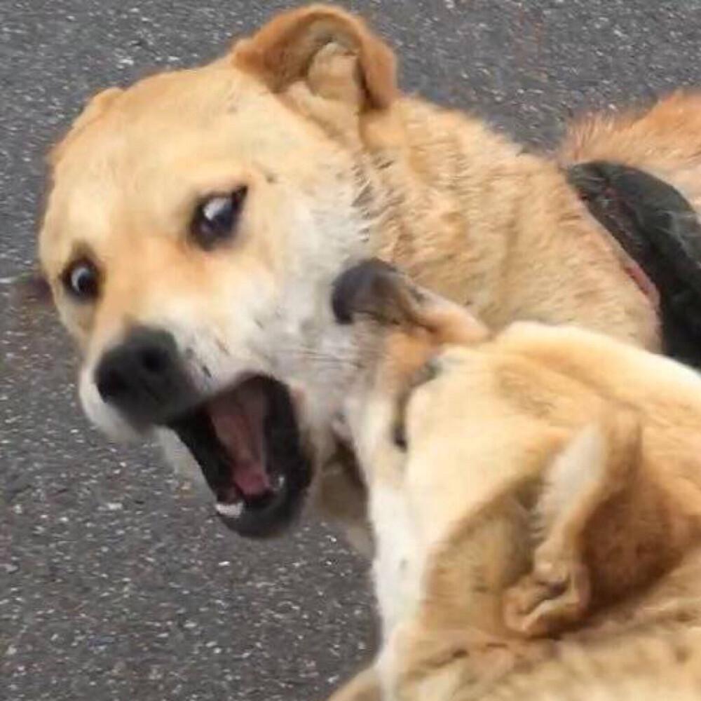 有哪些感觉很棒的情侣头像? - 知乎