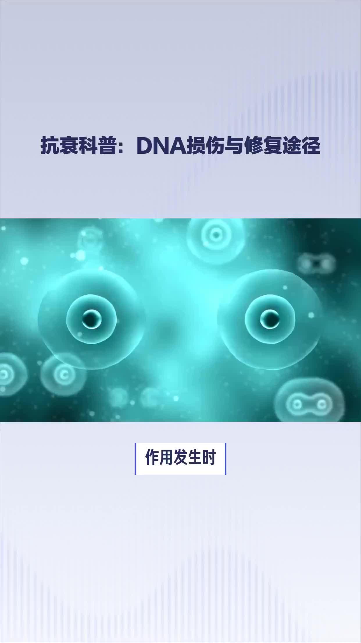 DNA的功能图片