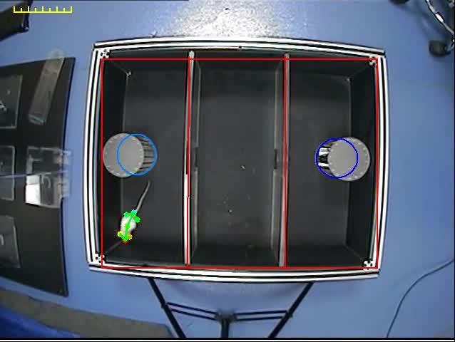 VisuTrack动物行为分析系统丨国产之光、性价比王者,匠心助力科研实验! - 知乎