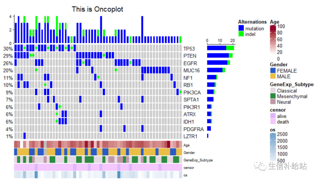 complexheatmap|根據excel表繪製突變景觀圖(oncoplot)