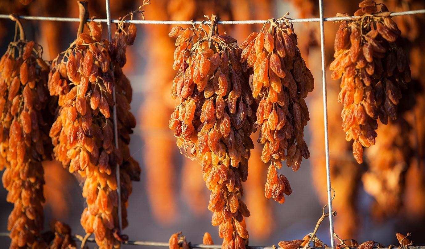 可以用机器加工啊,但是新疆葡萄干为了口感和营养,都是纯手工晾晒