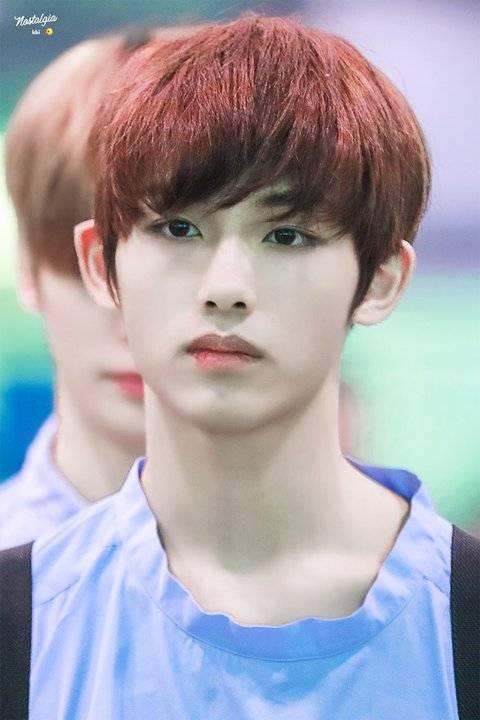 董思成winwin啊,真真的剑眉星目,一双瞳仁秋水啊