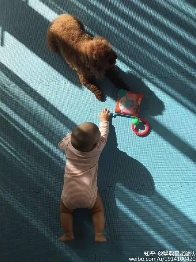 能伸出一只手够东西是5个月宝宝显著的进步,此阶段的宝宝能够准确抓住