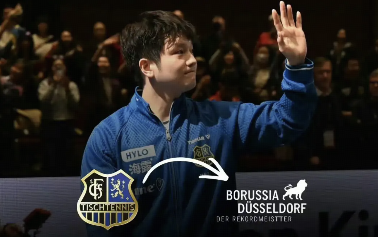 如何看待樊振东转会杜塞尔多夫，这一举动对洛杉矶奥运周期有什么意义？