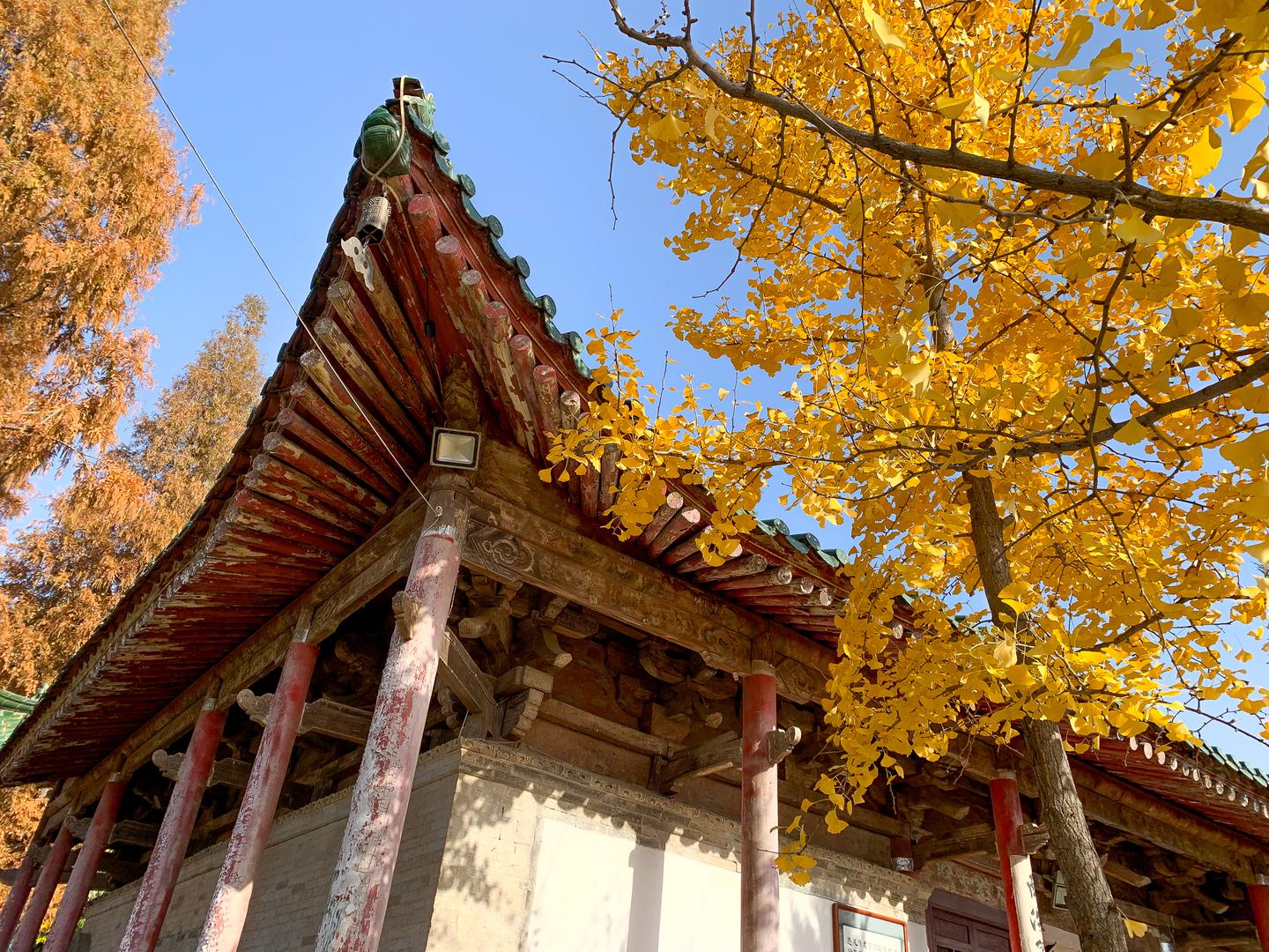 老撕机带你游长安 私家西安行程 看遍中国最早寺院 佛教八宗祖庭 知乎