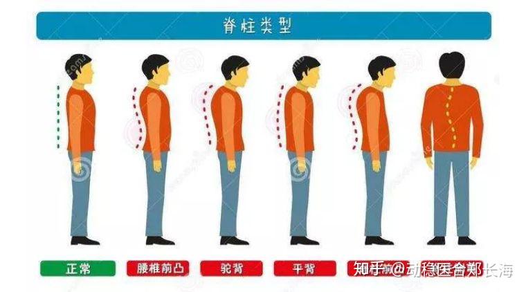 平背知多少 - 知乎