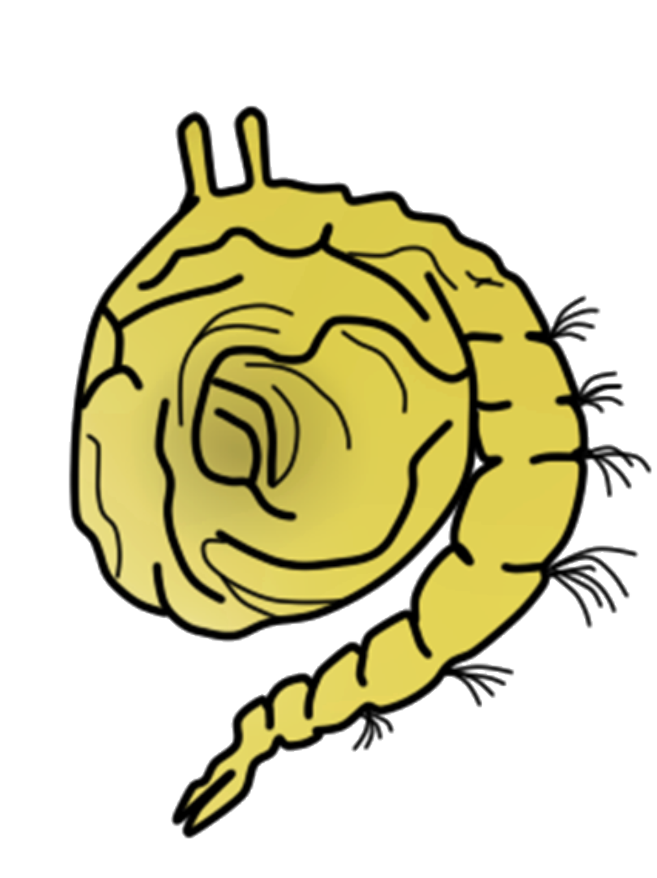 2. 热门地段解析