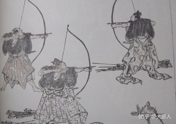 和弓属 - 知乎