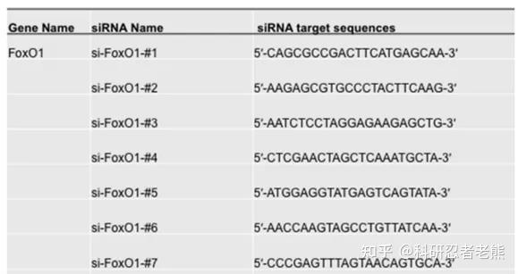 Sirna Specify siRNA 实验指南:设计、转染与结果分析全流程 - 知乎
