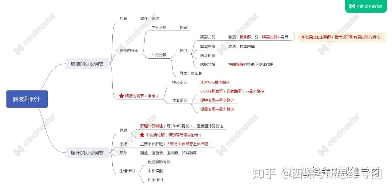 生理学思维导图循环系统