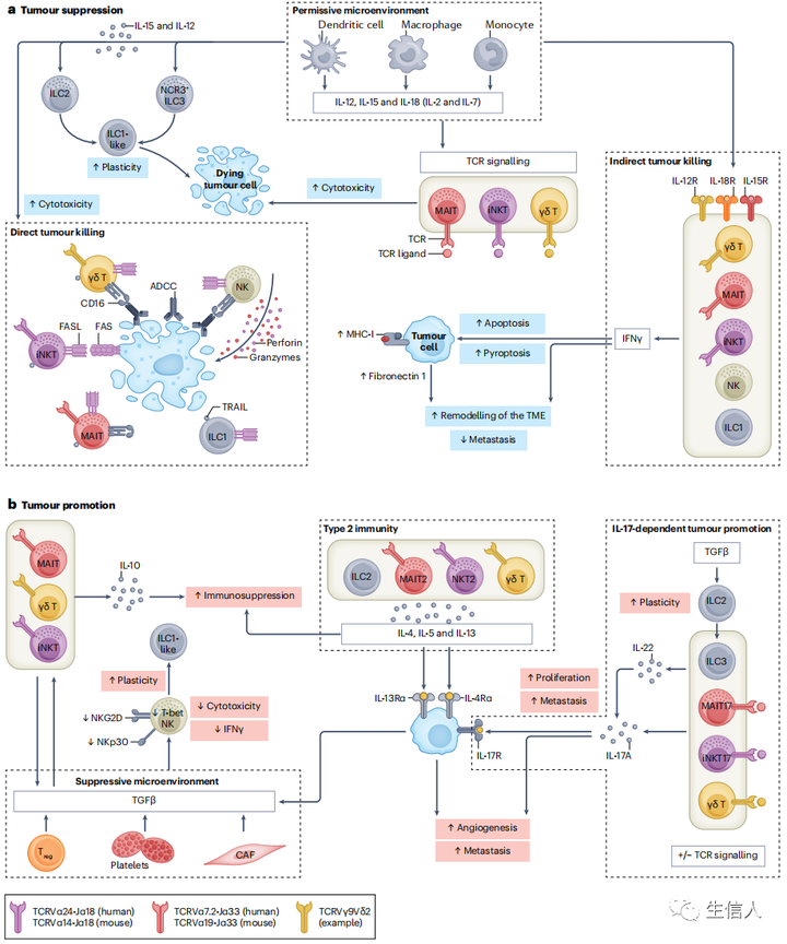 Nature reviews cancer：固有免疫及适应性免疫 知乎