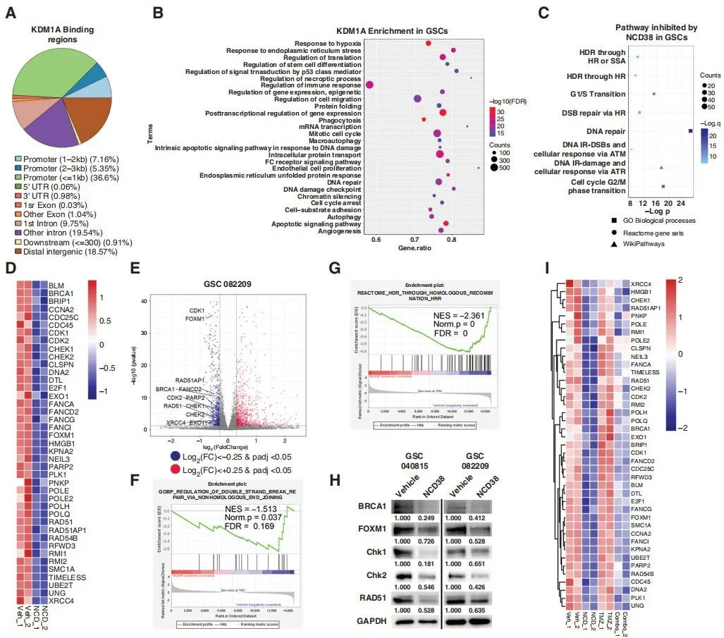 Neuro oncology if 15 9 cut tag rna seq 
