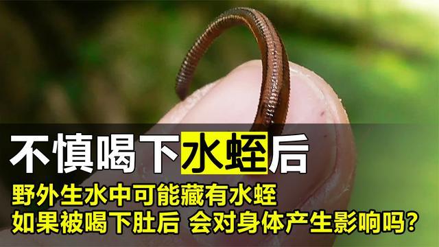 水蛭会钻进身体里面吗?