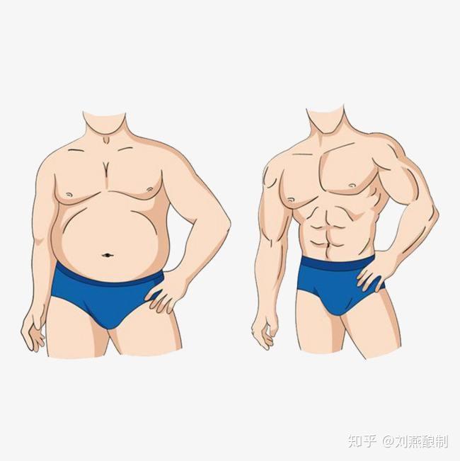 刘燕酿制:男性乳房发育,别害羞