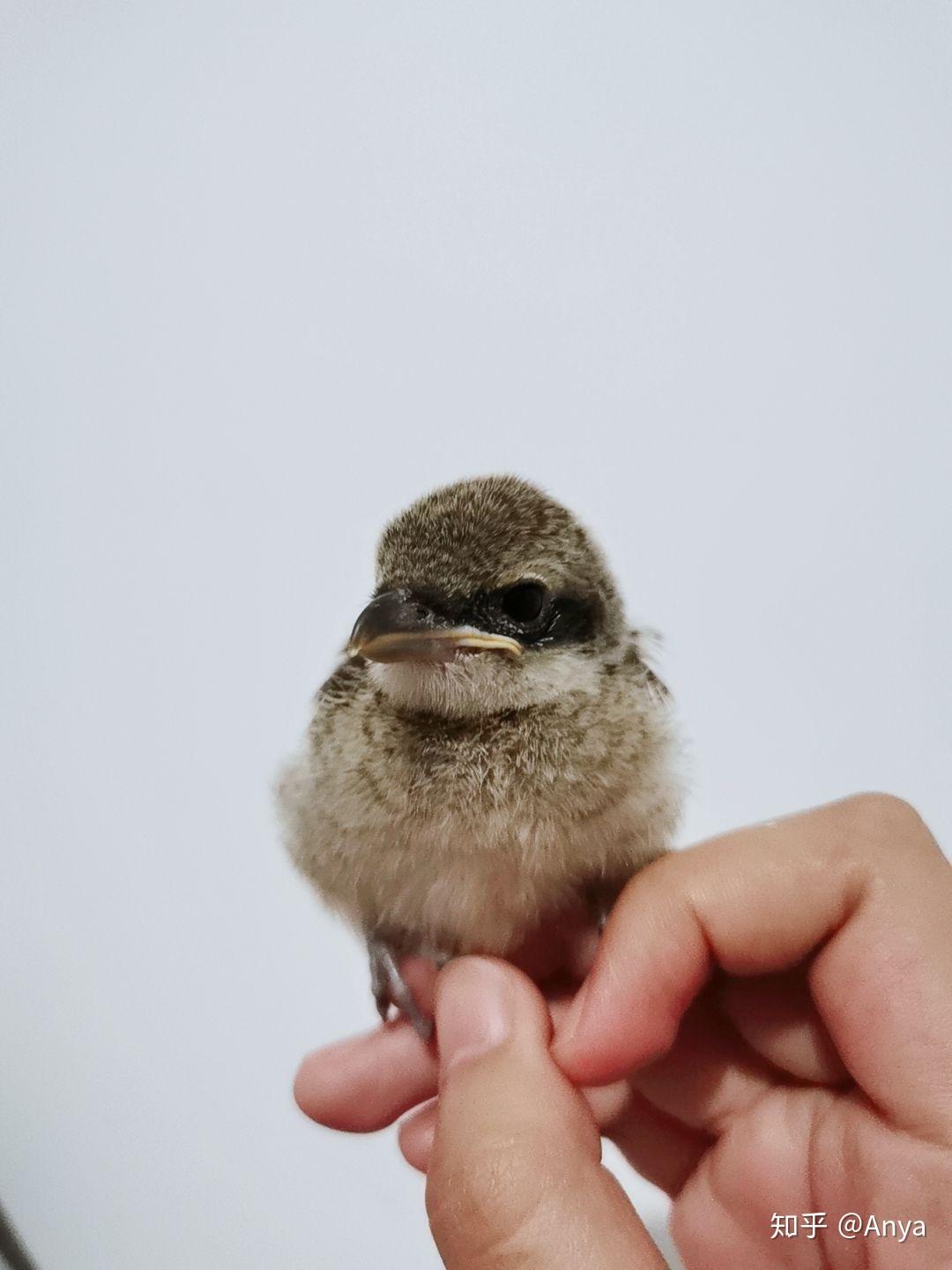 你被什么样的景色让你感动过呢? - 知乎