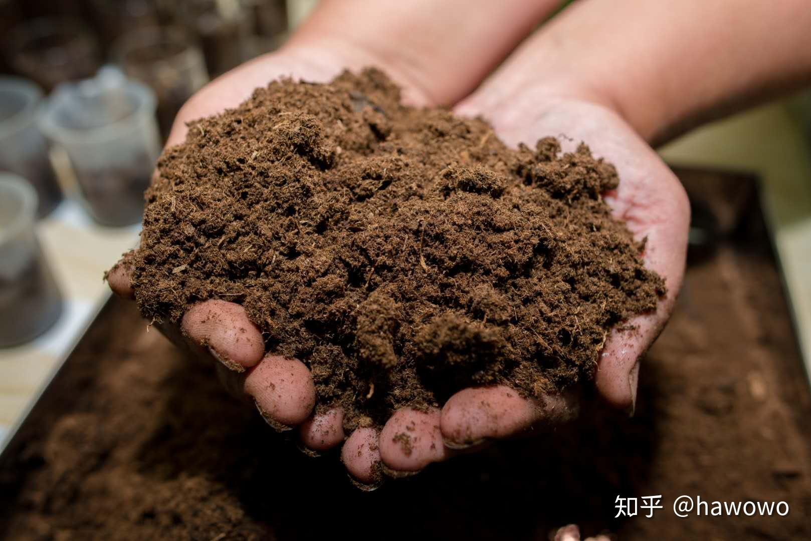 如何利用泥炭土制作有营养,肥沃的土壤? 