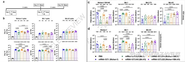 Moderna 新冠二价mRNA疫苗最新临床数据 - 知乎