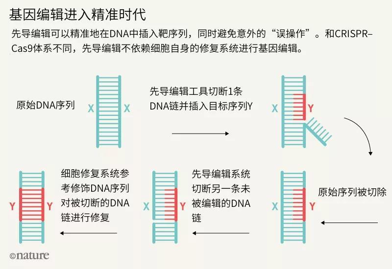 贺建奎基因编辑婴儿事件过去一周年了,目前基因编辑现状如何了?