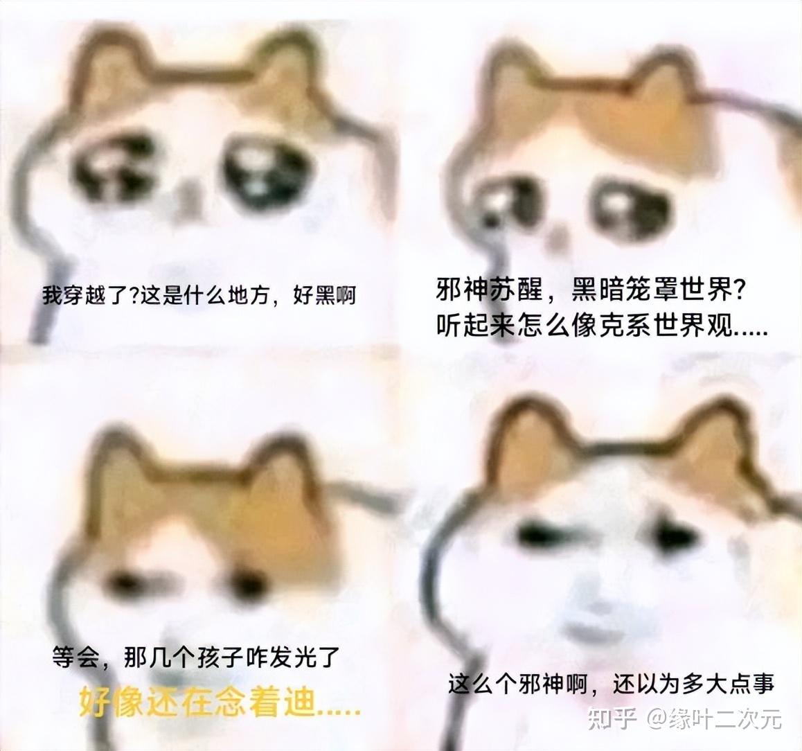找一张猫猫在一堆纸里面找meme图的meme图？ - 知乎