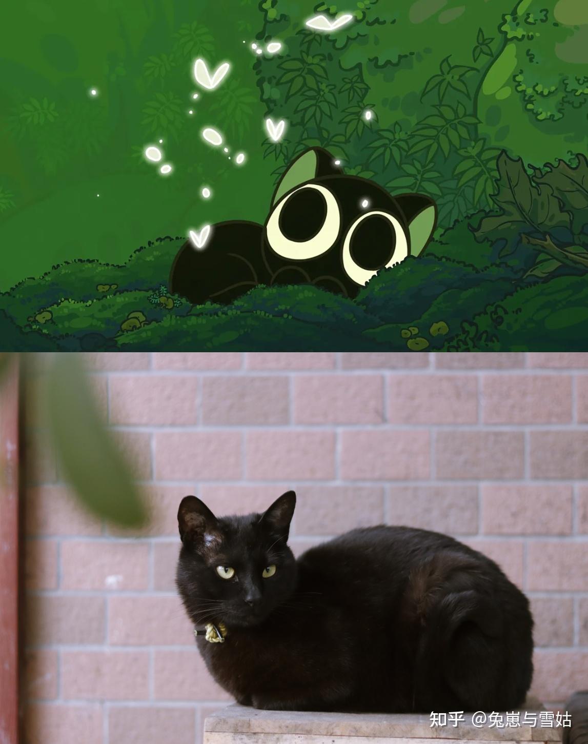 盘点那些动漫里的猫,附精美剧照! - 知乎