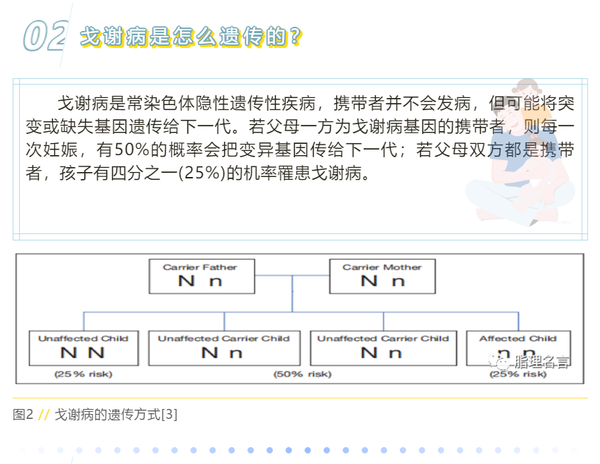 戈谢病，你了解么？