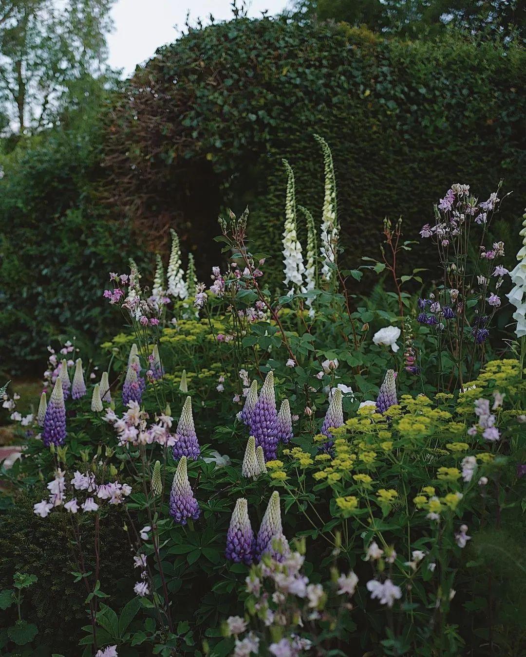 热门又治愈的cottagecore是什么新风格