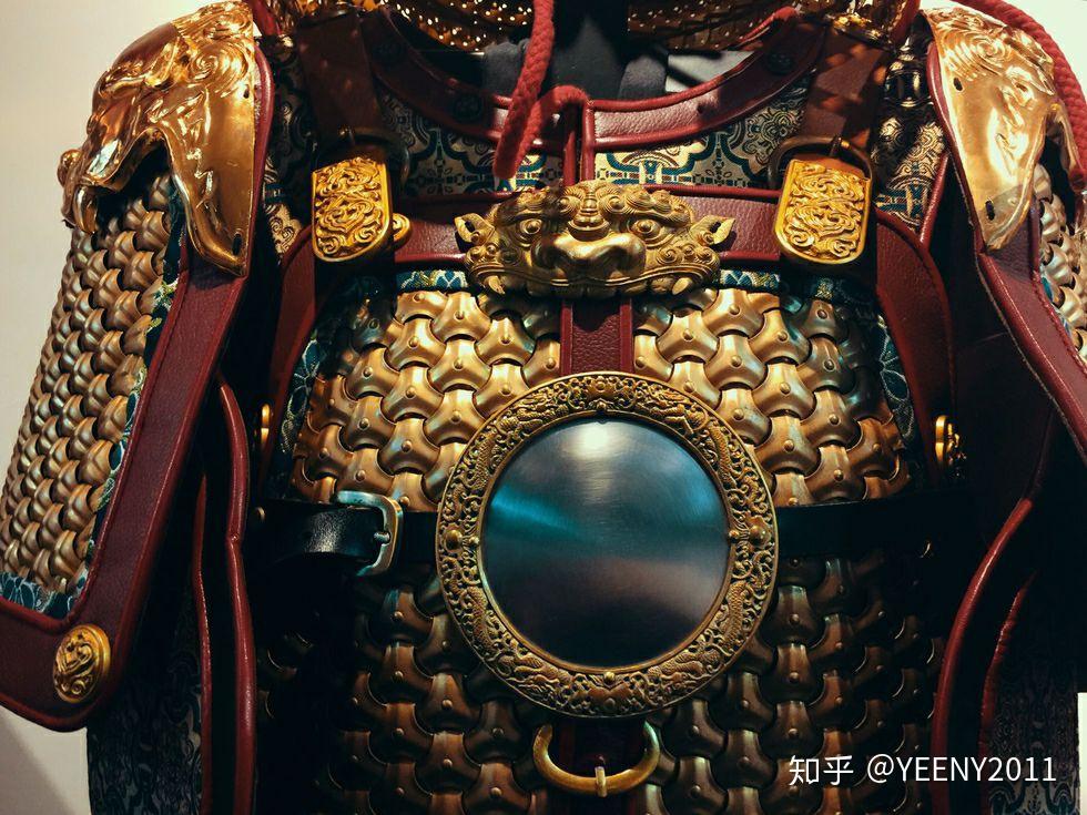 山文甲的结构是怎么样的