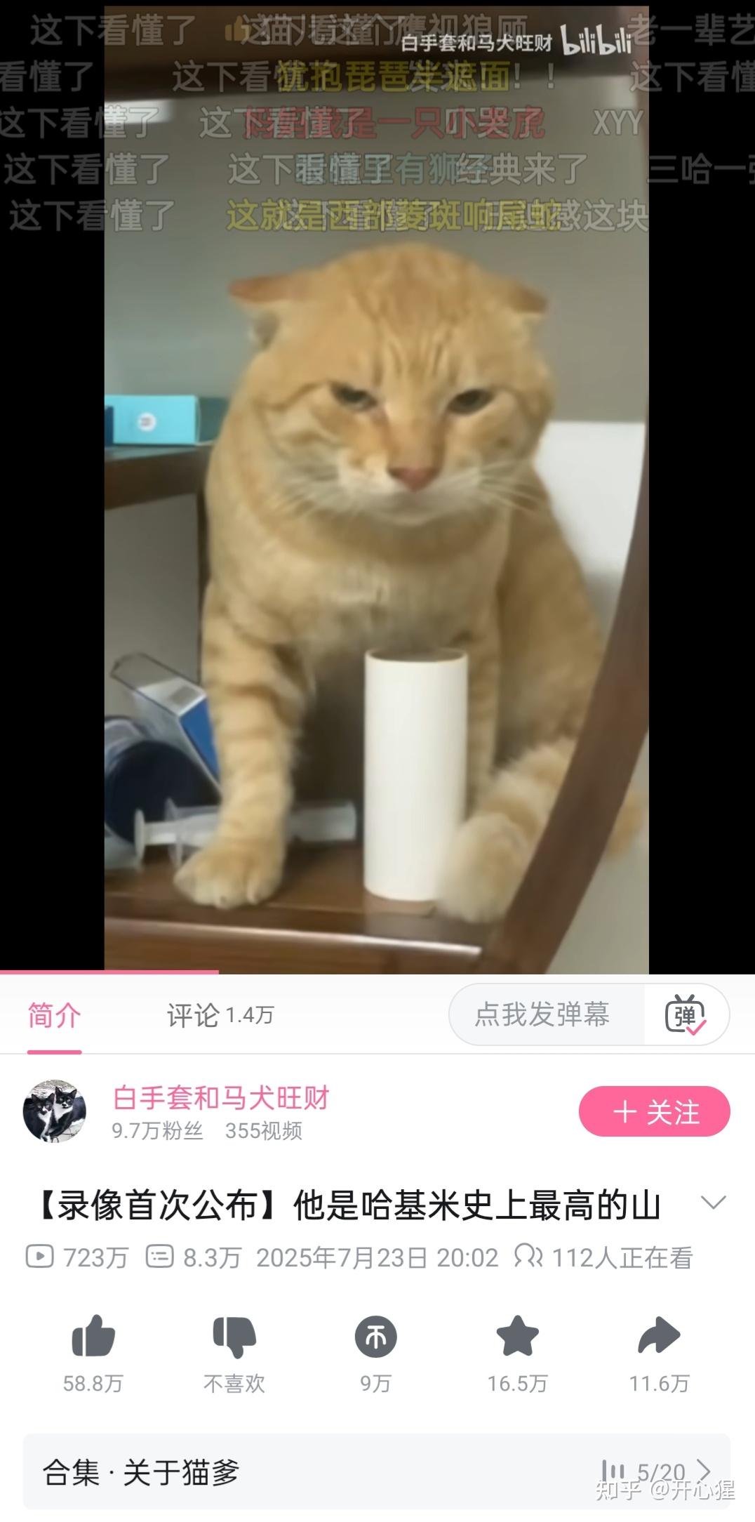 哈气,哈基米和圆头猫爹 - 知乎