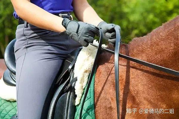 【沈阳骐骥•七星山马会】骑马怎样持缰绳是正确的? - 知乎