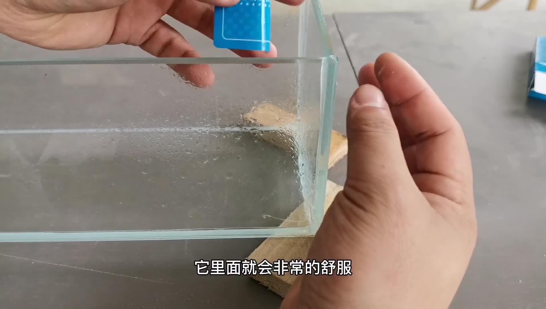 灌胶法粘鱼缸图片