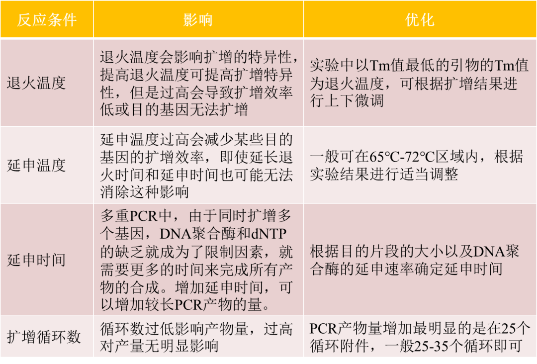 多重pcr的小技巧，您get到了吗？ 知乎 2900