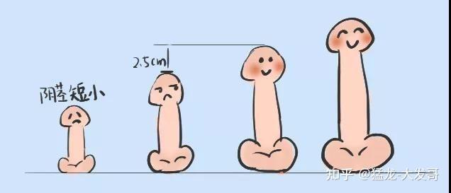 19岁阴茎只有十厘米还能长吗