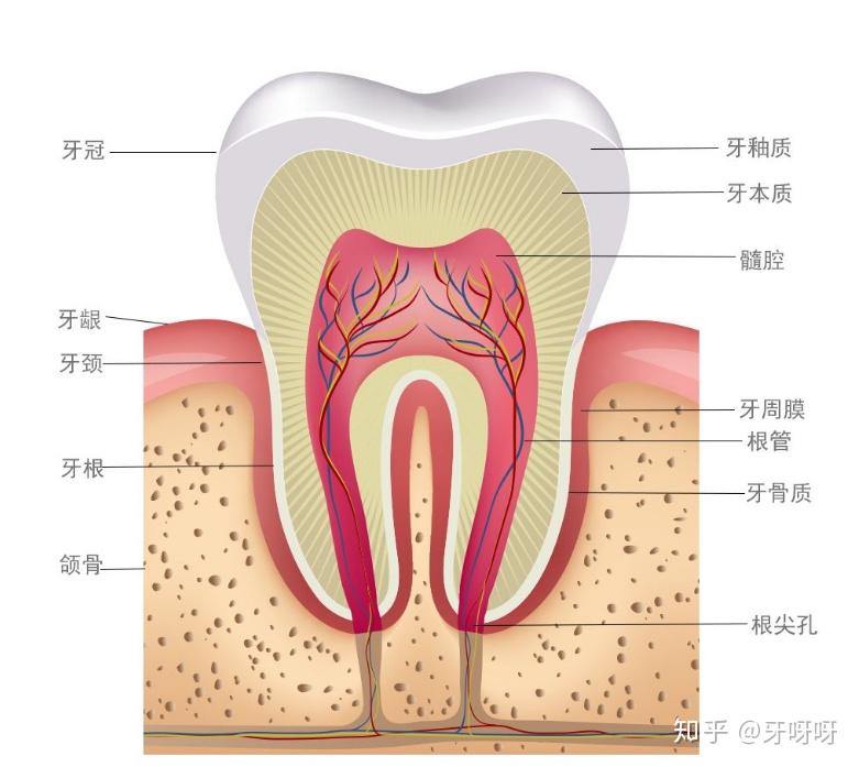 v2-31ee318f5013a990ed7bcd6a1f25efab_r.jpg
