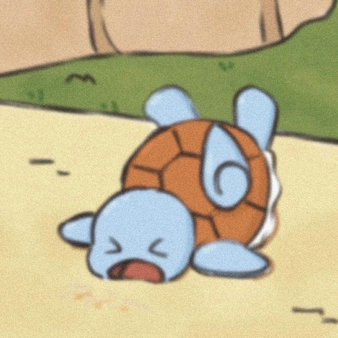 杰尼龟头像 - 知乎