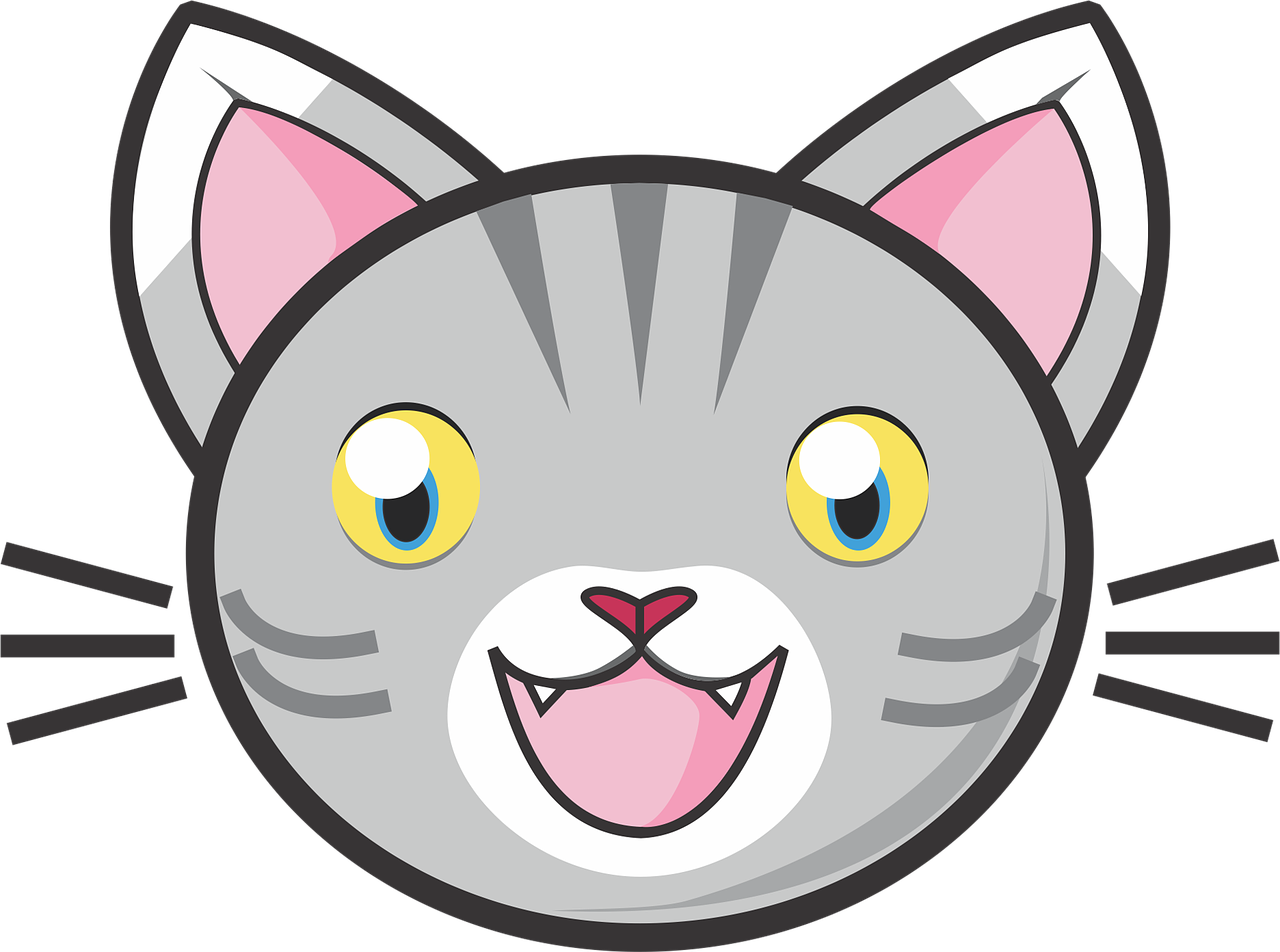 3. 虎斑楝木价格