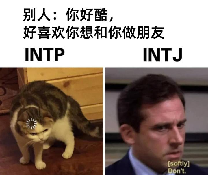 intp intj恋爱图片