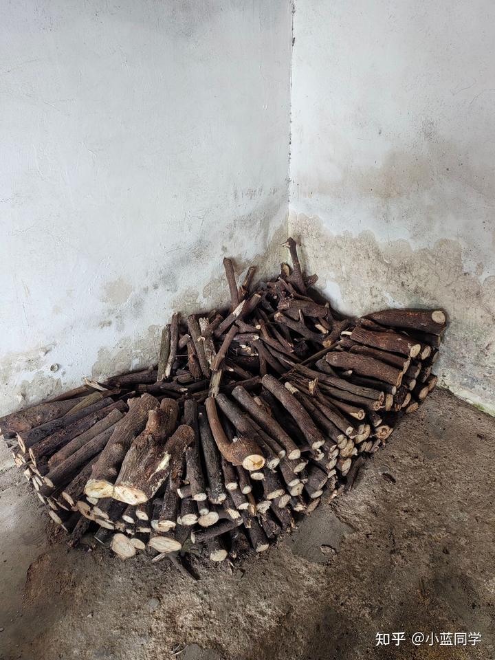 人，可以废物到什么程度？