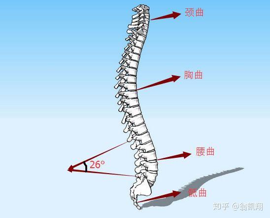 站墙根能减肥吗图片