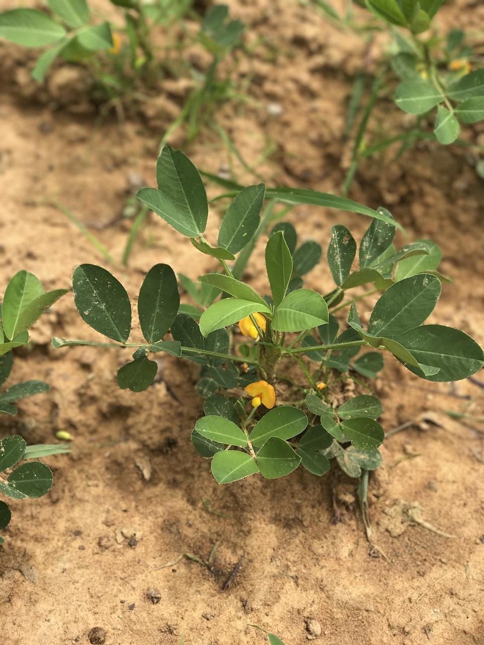 2. 排水透气性要求