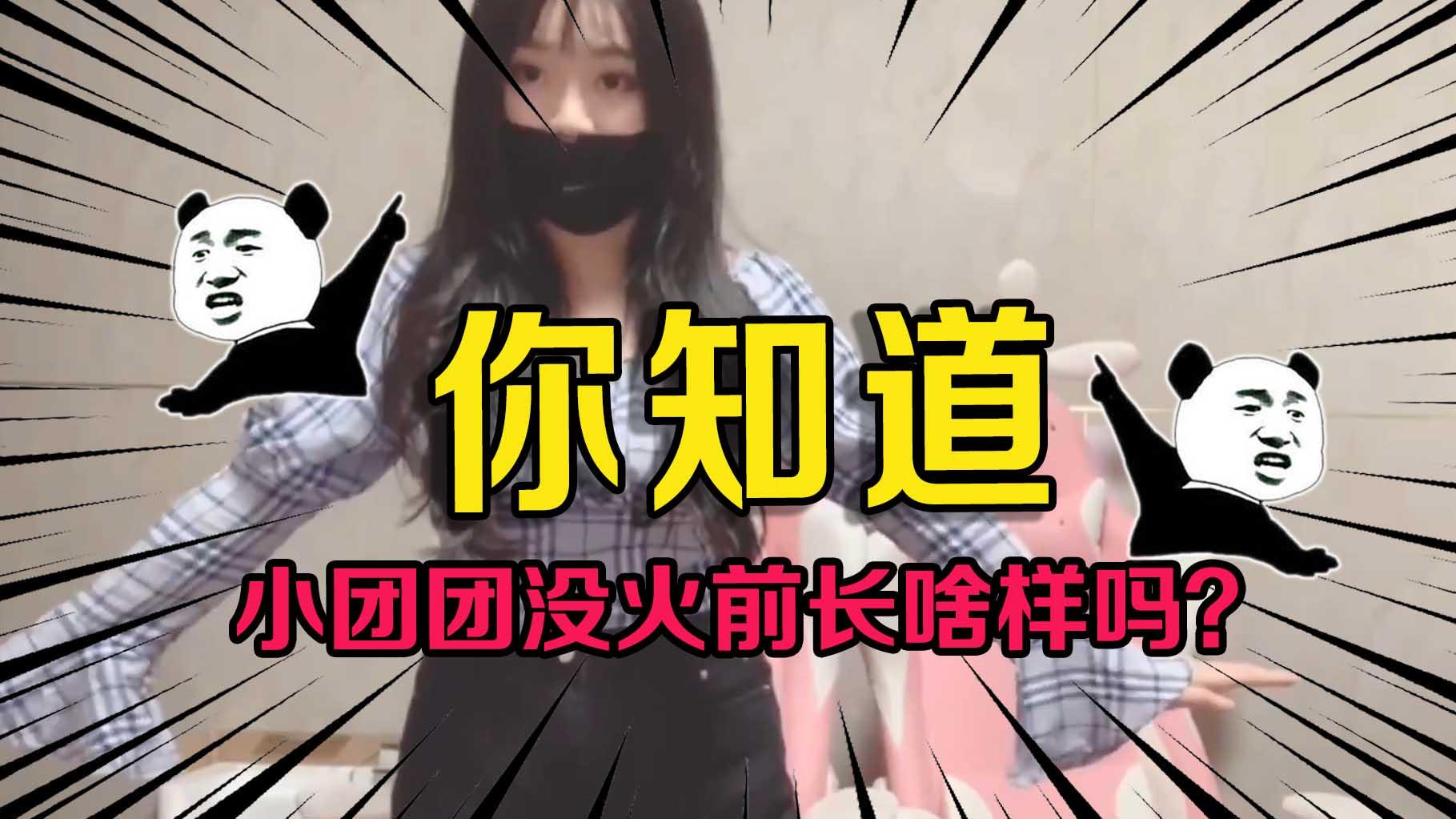 一条小团团