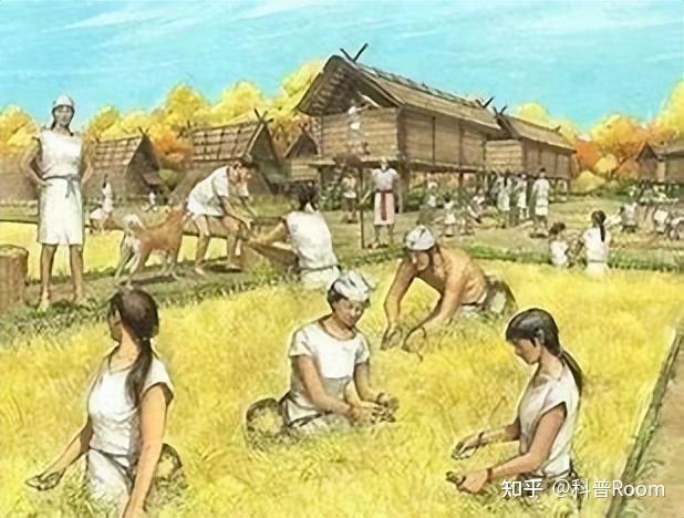 人类发展的历史考古学:古人类生活的重构 - 知乎
