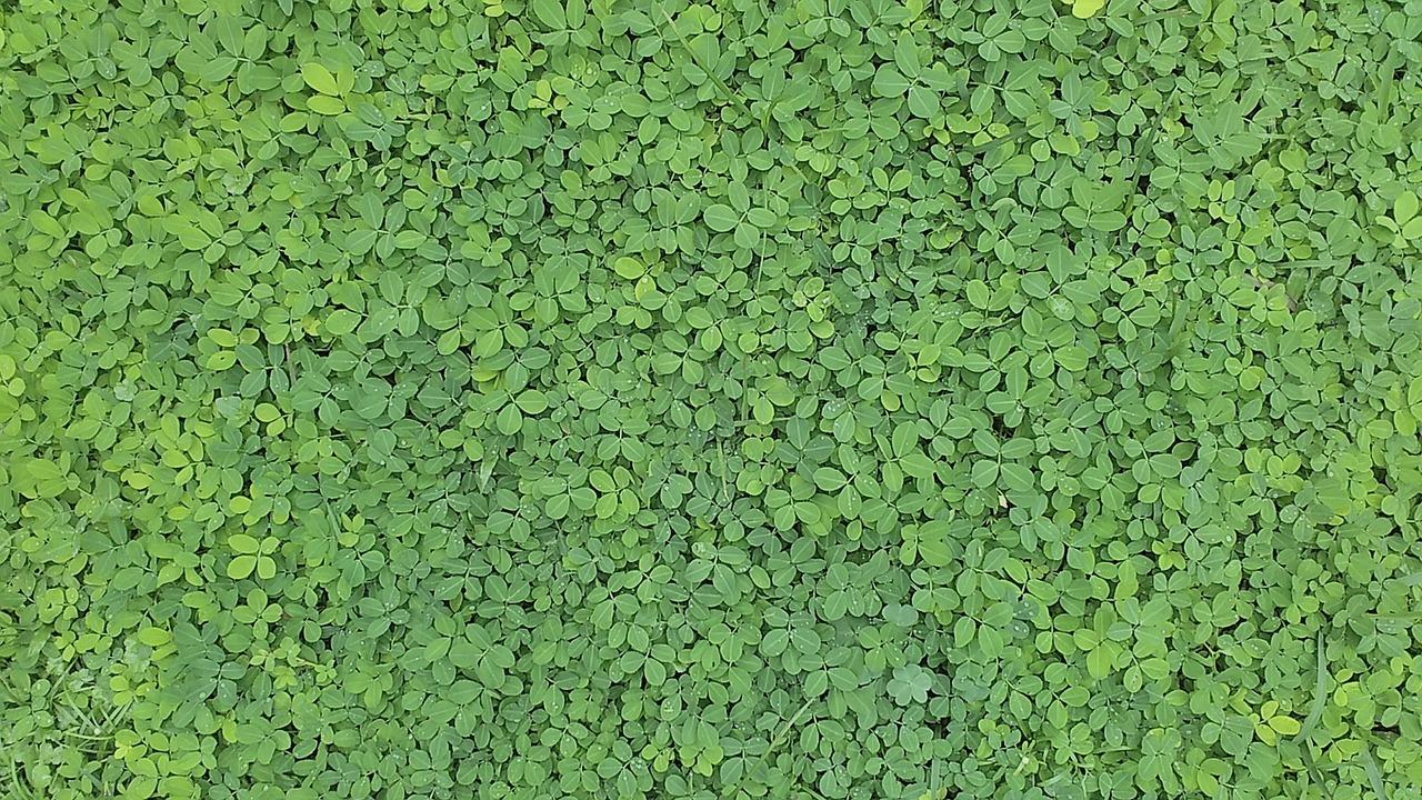 3. 低密度住宅区