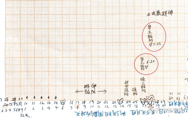 怎么生一个理想的星座宝宝 附 个人案例记录 知乎