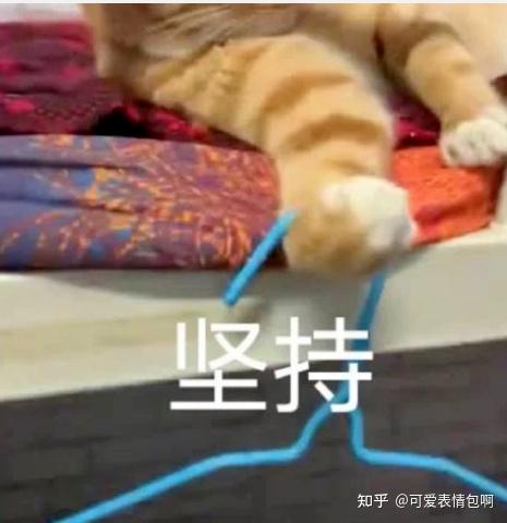 什么档次 打听我成绩表情包 - 知乎