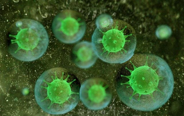 昨天又感冒了,最近病毒确实猖獗,总结一下最近我自己感冒的原因