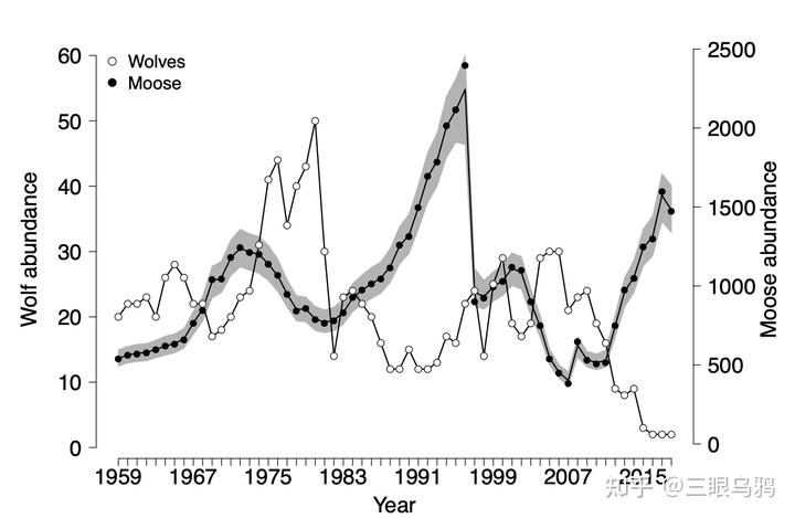 如果将 20 只狼和 500 只鹿放进同一孤岛，最后谁能活下来？