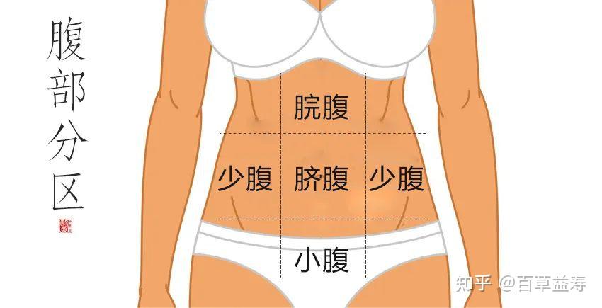 ​百草益寿中医教你如何推腹推走慢性病