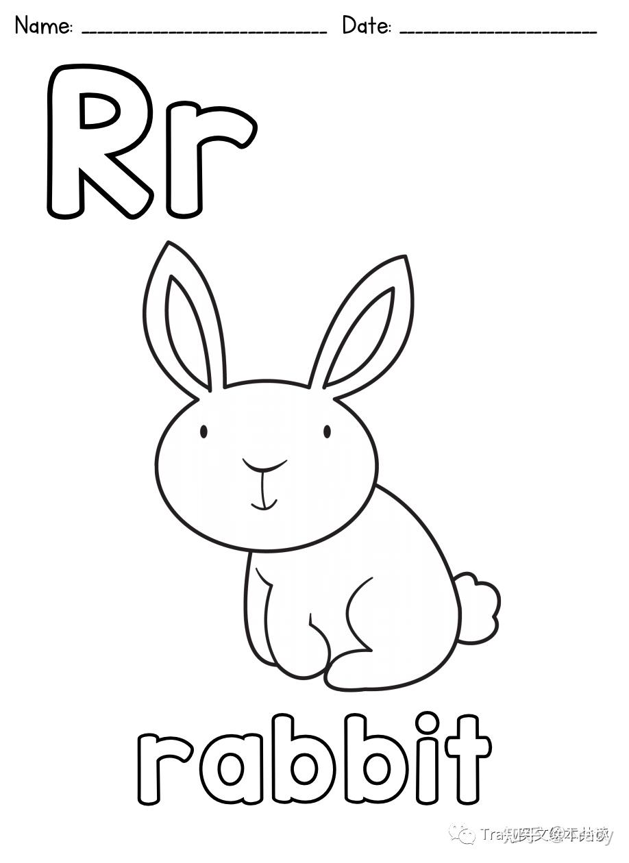 rabbit简笔画图片